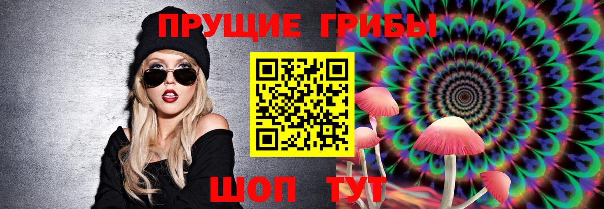Звенигород  Галлюциногенные грибы GOLDEN TEACHER  Вход с VPN 