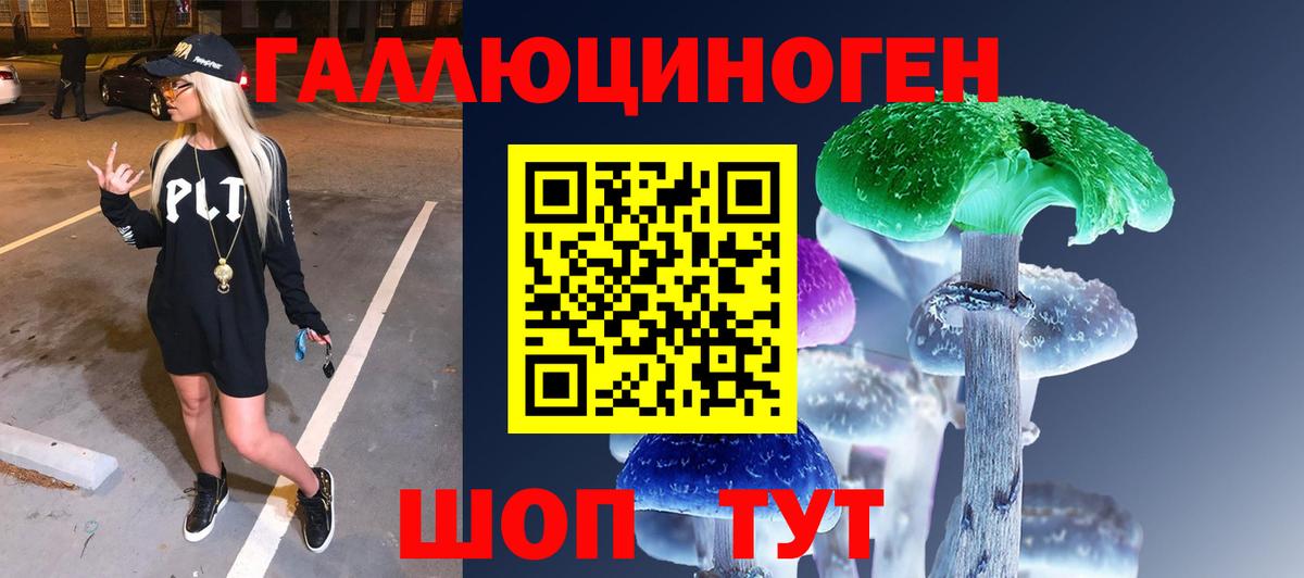 Псилоцибиновые грибы мицелий Звенигород